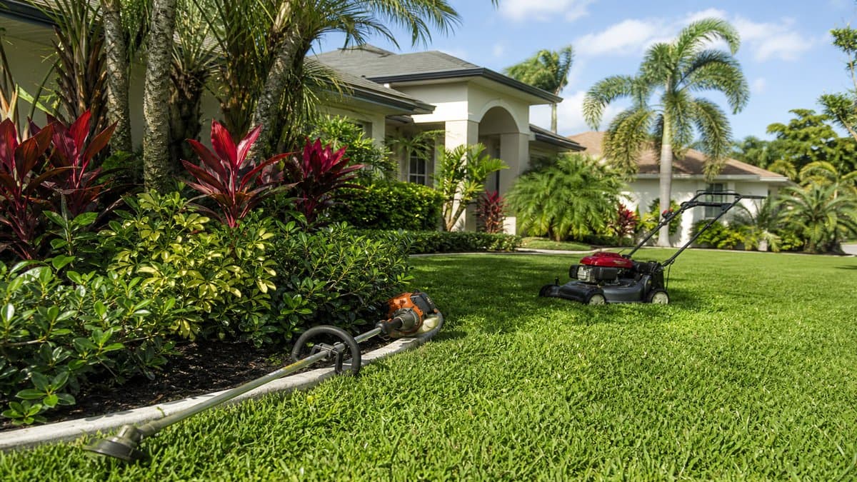 Landscaping needed in Brandon, FL — Landscaping & Outdoor